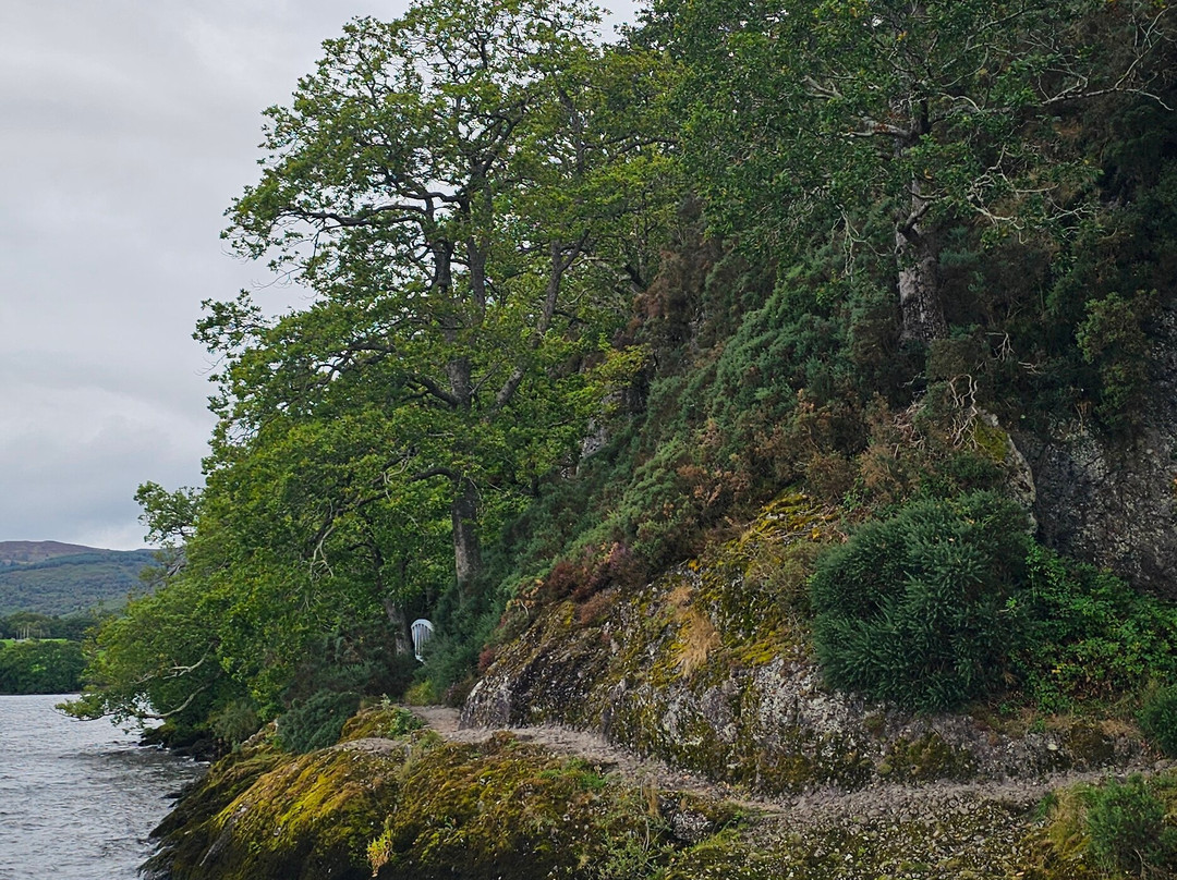 Cruise Loch Lomond-拉斯必去景点