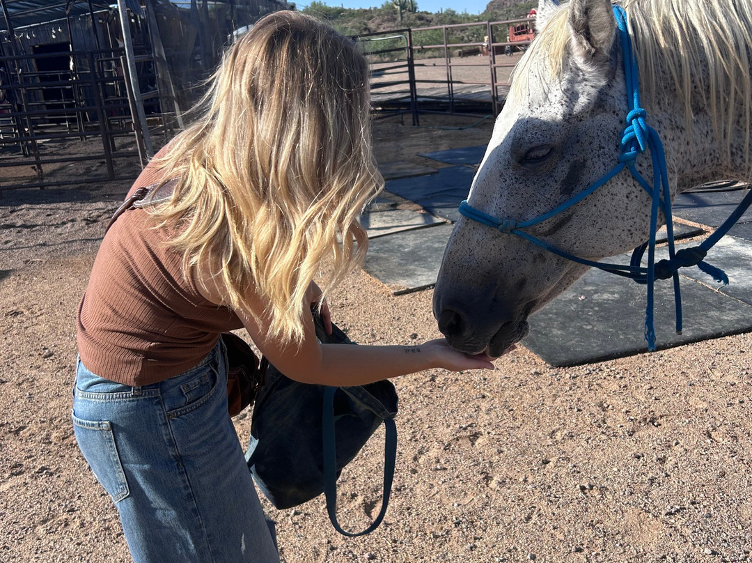 Arizona Horseback Adventures at Spur Cross-洞溪必去景点