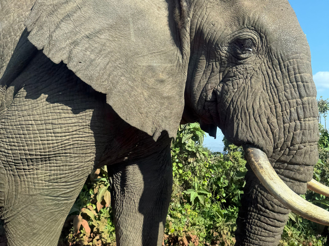 Makasa Tanzania Safaris-莫西必去景点