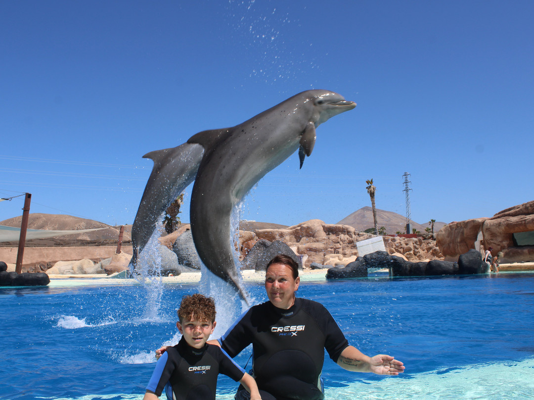 Rancho Texas Lanzarote Park-卡门港必去景点