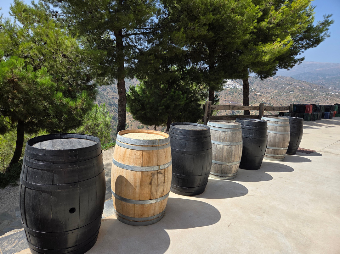 Bodegas Bentomiz-Sayalonga必去景点