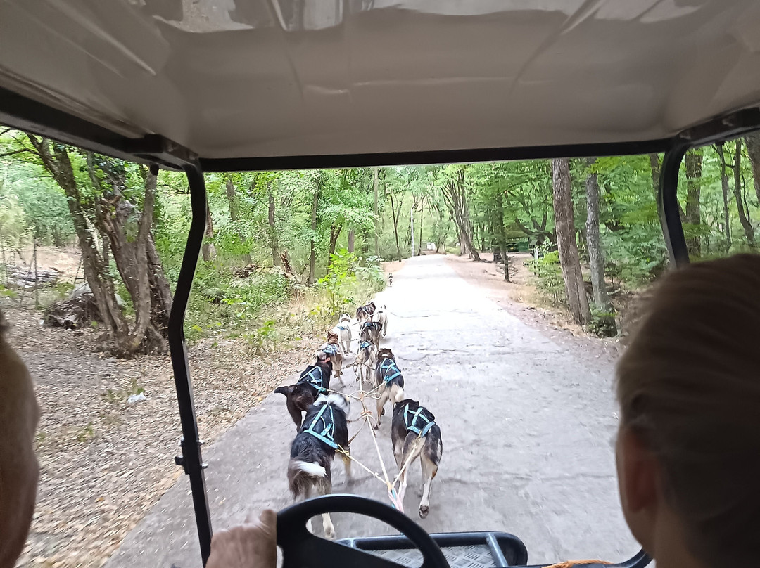 Dog sled tour  Mátrafüred-马特劳菲赖德必去景点
