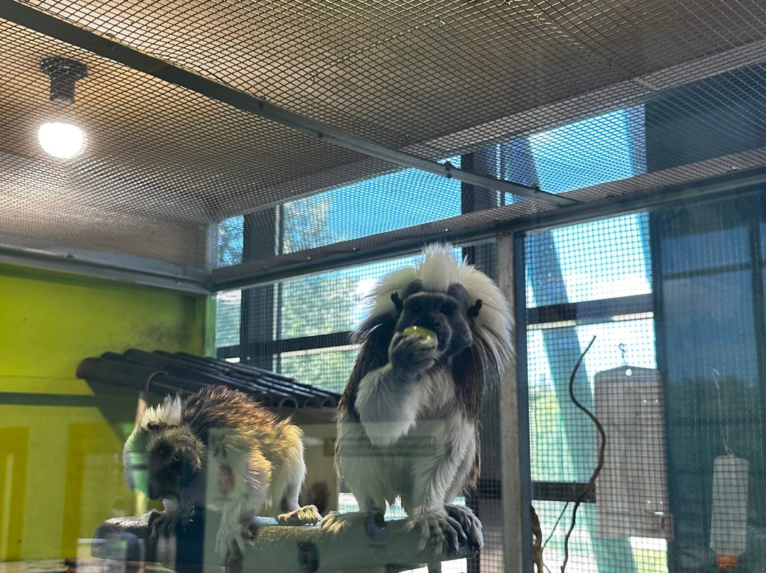 Belgorod Zoo-Belgorod必去景点
