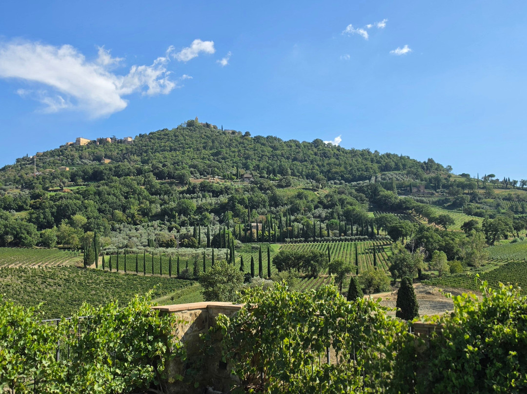 Azienda Agricola Capanna di Cencioni-蒙塔尔奇诺必去景点