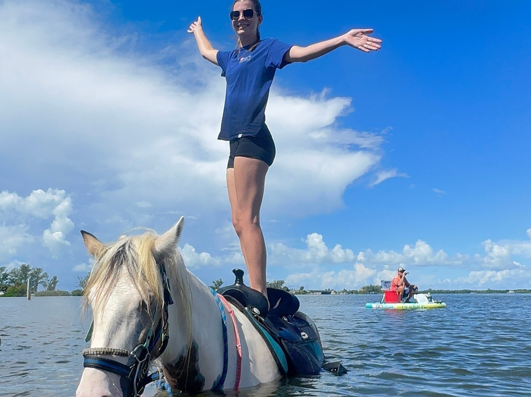 Florida Beach Horses-布雷登顿必去景点