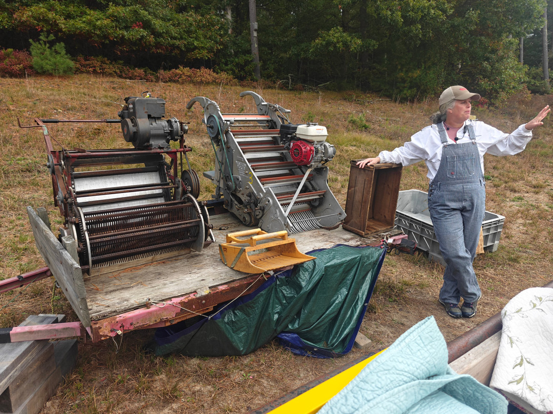 Hartley Family Farm Cranberry Bog Tours-Rochester必去景点
