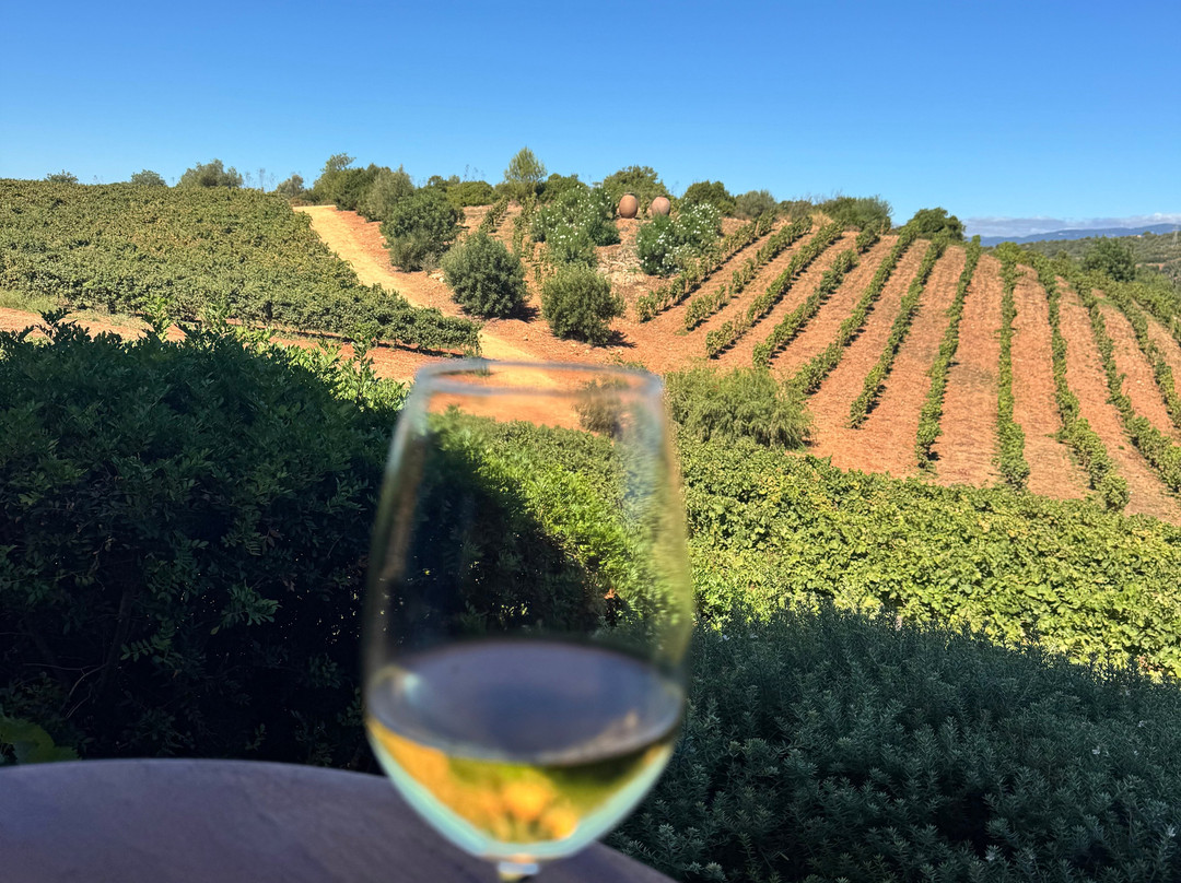 Arvad Wines-Estombar必去景点