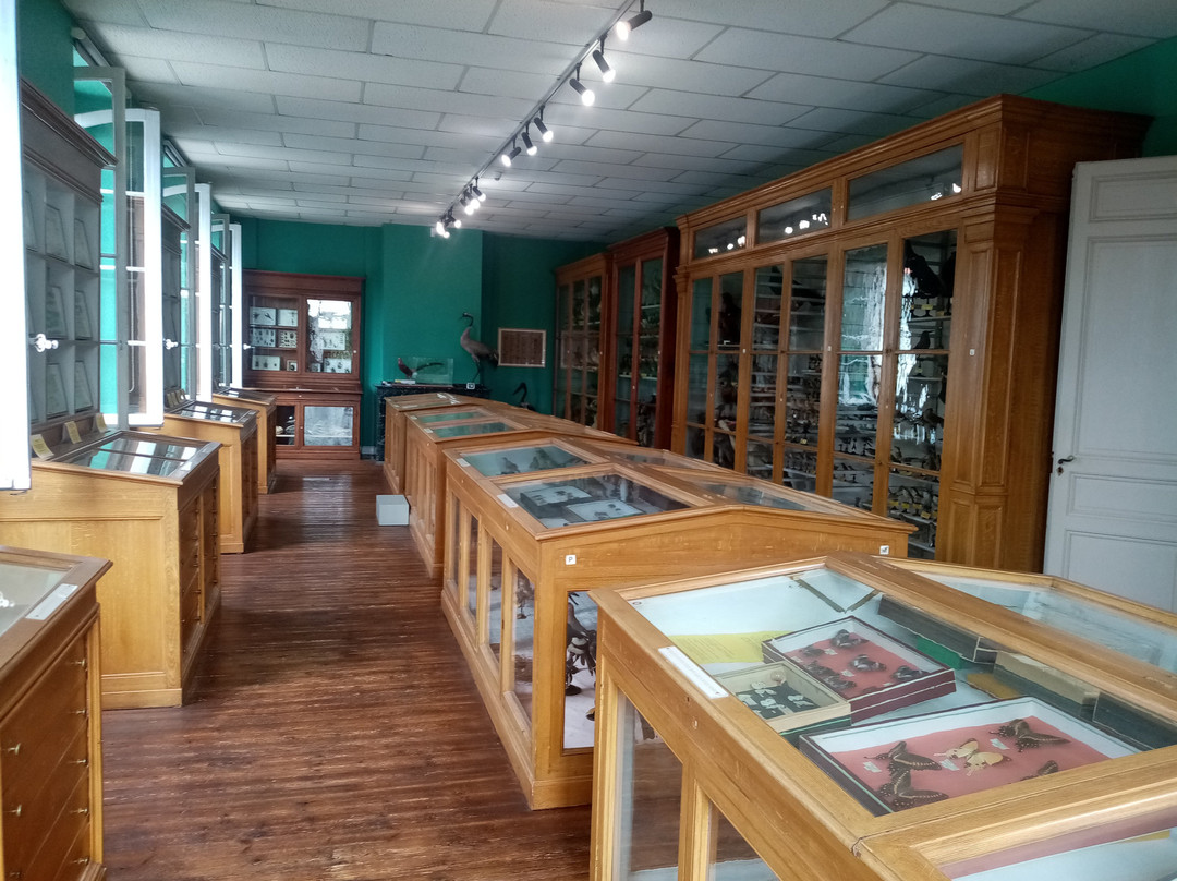 Musee d'Histoire Naturelle Philadelphe Thomas-Gaillac必去景点