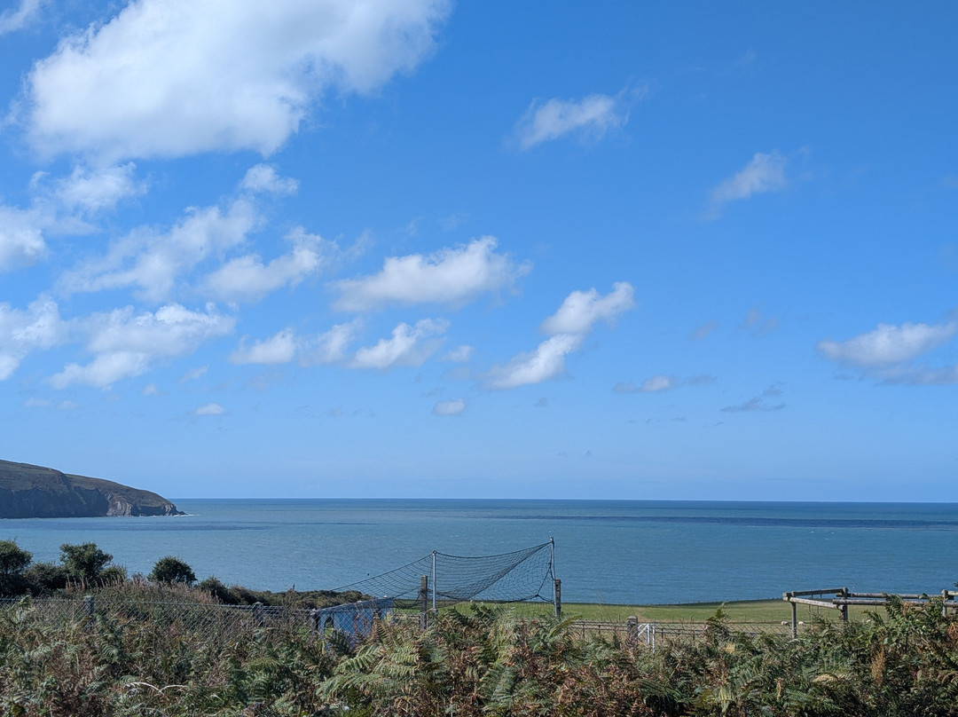 Cardigan Island Coastal Farm Park-Cardigan必去景点