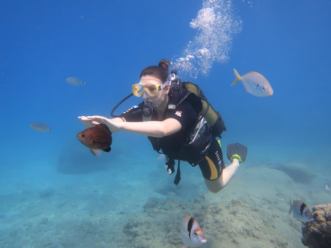Tekirova Diving Center-Tekirova必去景点