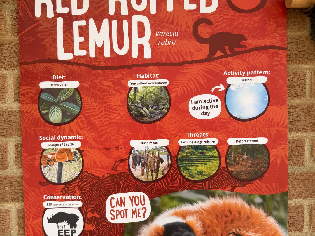 Twycross Zoo-Atherstone必去景点