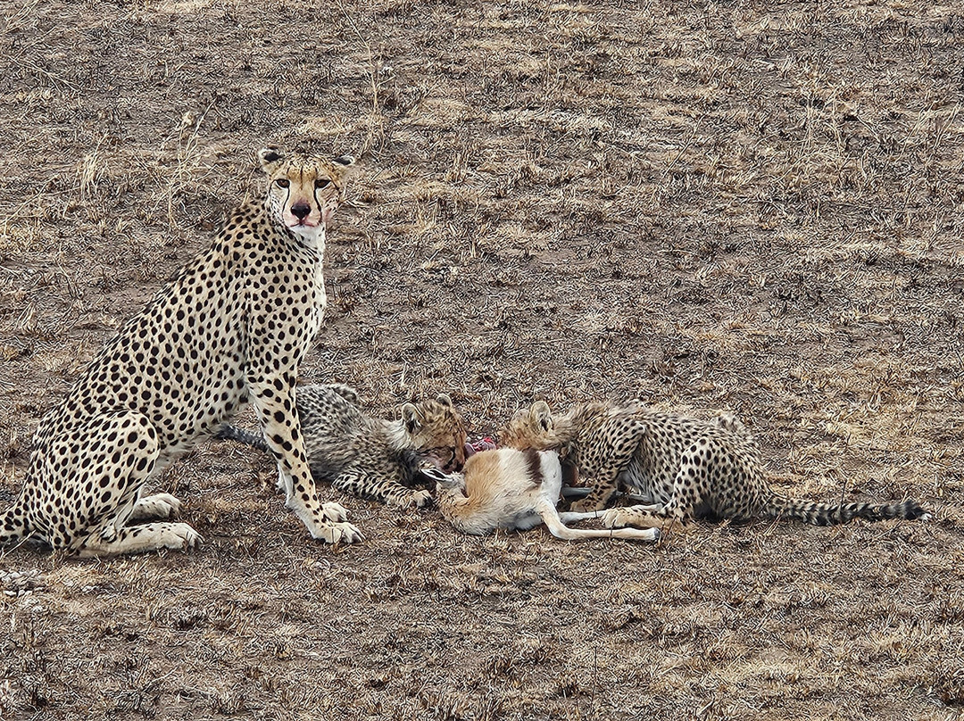 BADGER ADVENTURES TOURS & SAFARI-Arusha Chini必去景点