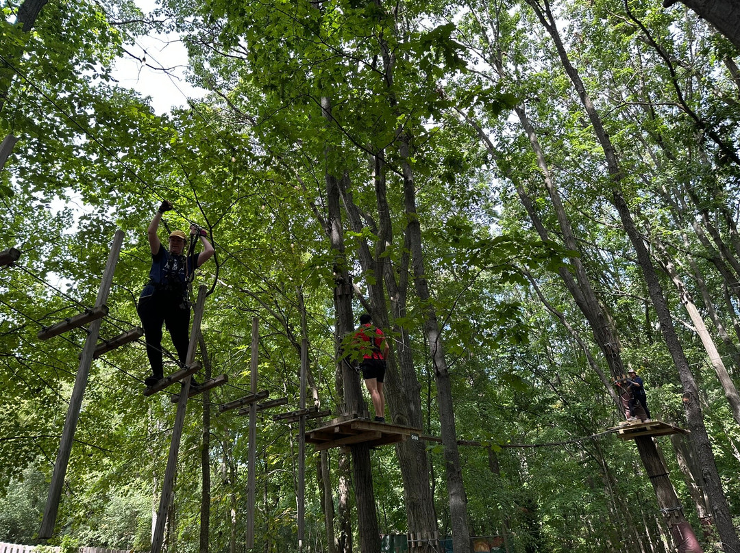 TreeRunner West Bloomfield Adventure Park-西布鲁姆菲尔德必去景点