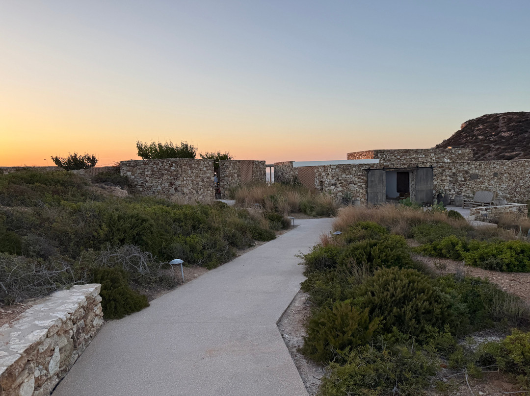The Rooster | Wellness & Lifestyle Resort Antiparos