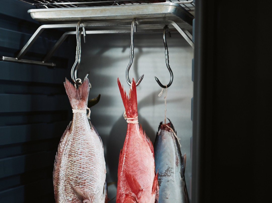 Kaiya Omakase + Bar