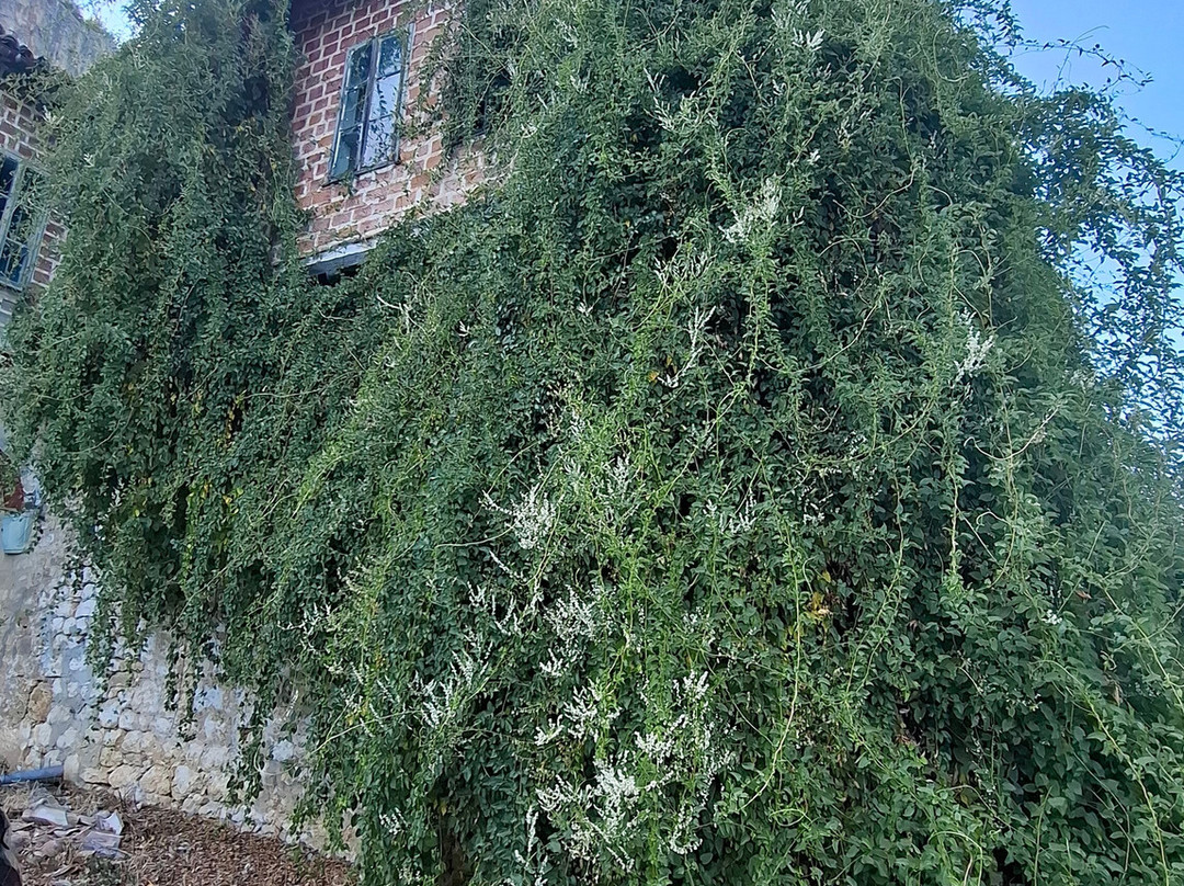Monastery of the Holy Transfiguration of God-大特尔诺沃必去景点