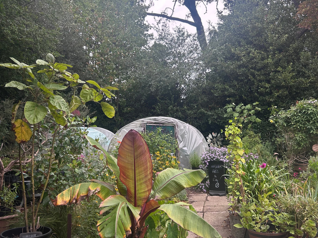 Rylstone Gardens-尚克林必去景点