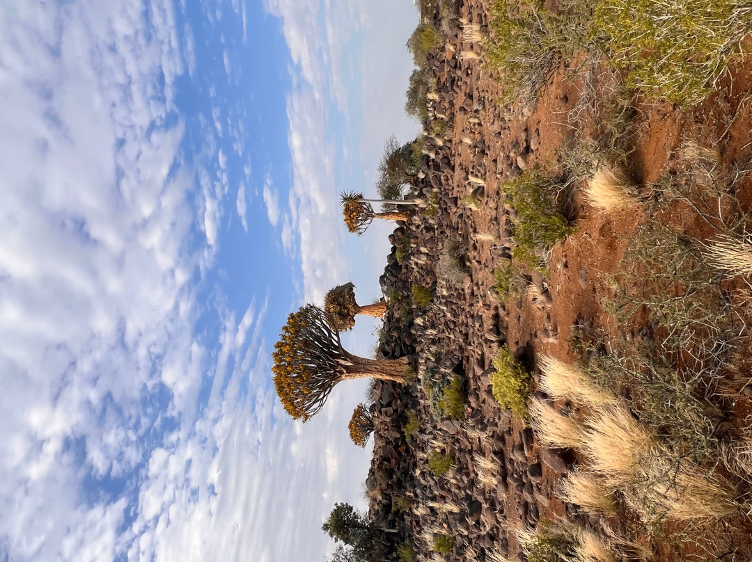 Garas Park Camp-Keetmanshoop必去景点