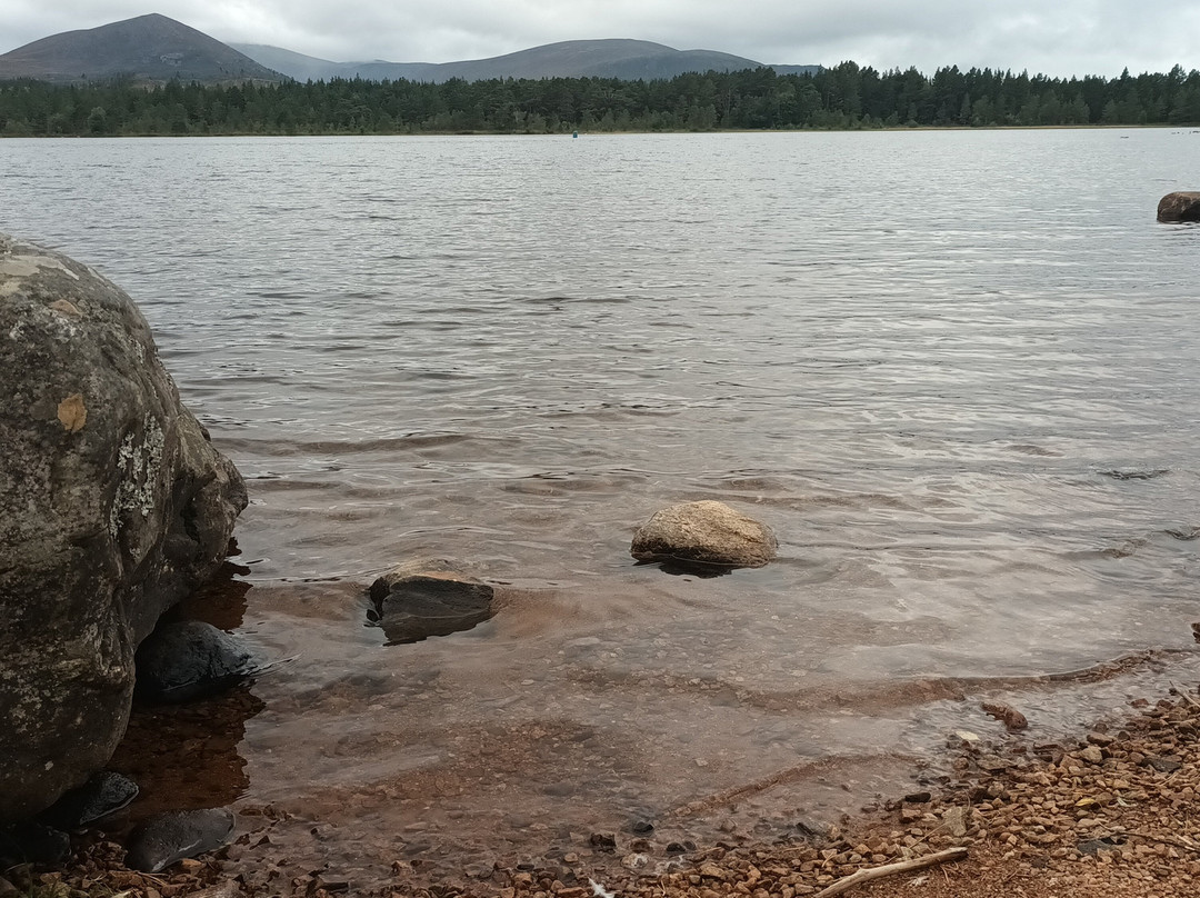 Loch Morlich-阿维莫尔必去景点