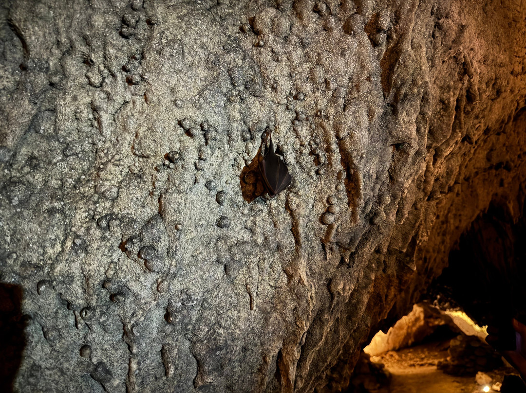 Barac Caves-Nova Krslja必去景点