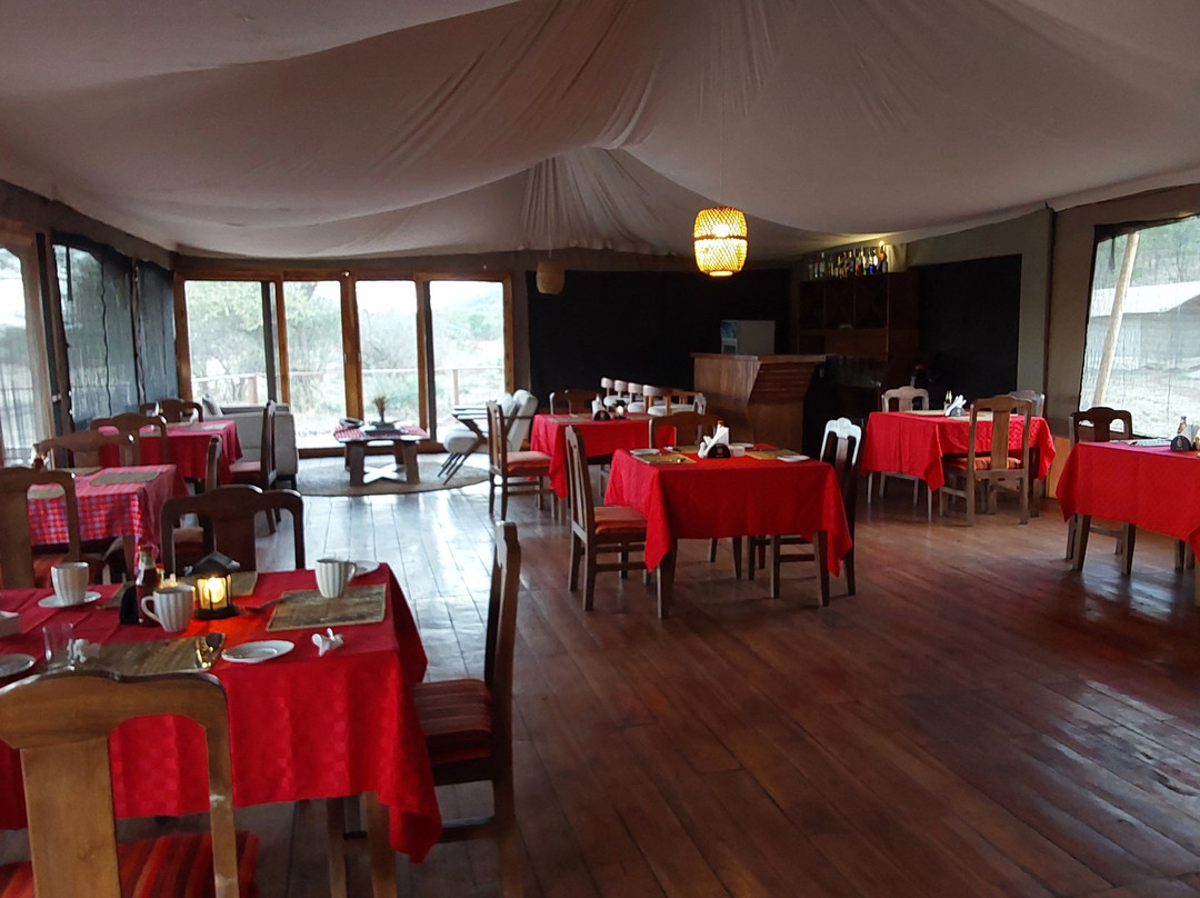 Safari Haven
