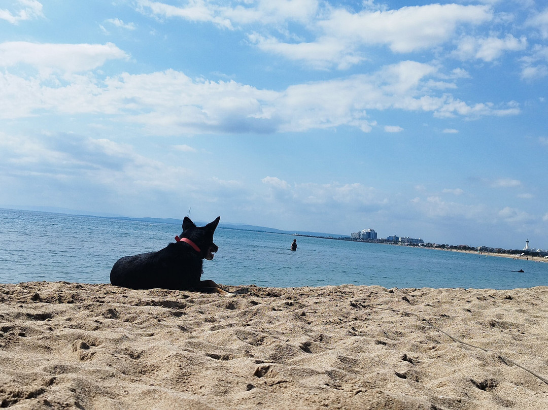 Playa la Rubina-Castello d'Empuries必去景点
