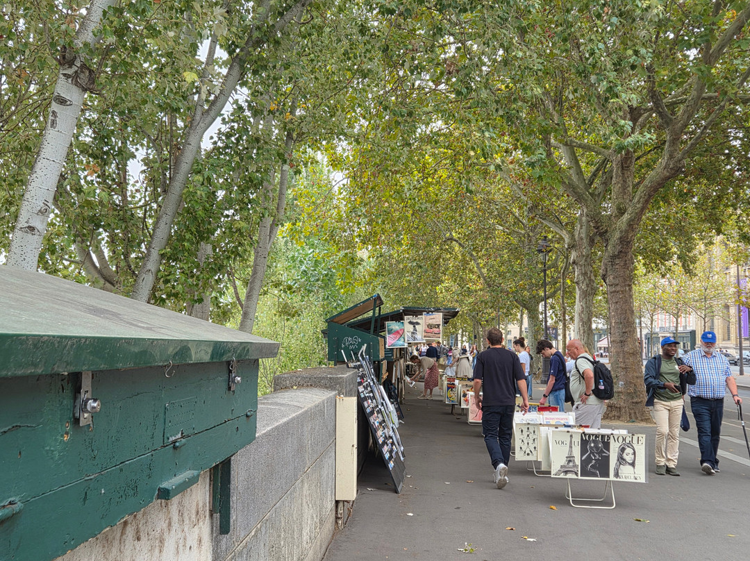Les bouquinistes de paris-巴黎必去景点