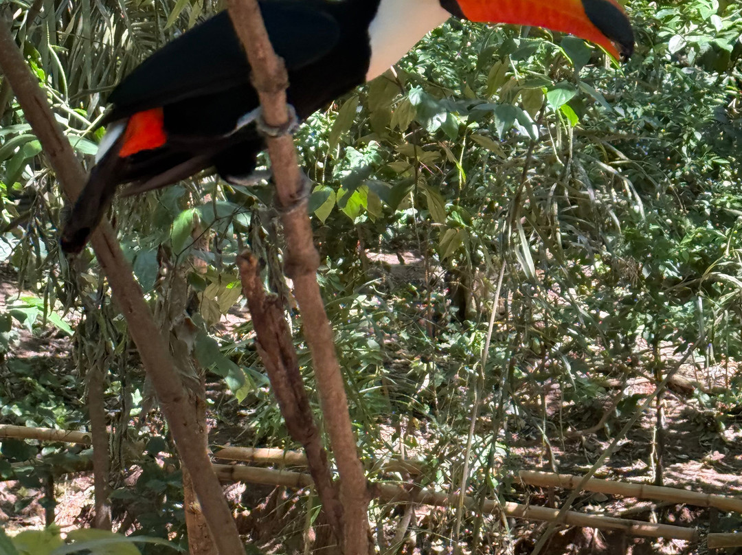 Biocentro Güembé-圣克鲁斯省必去景点
