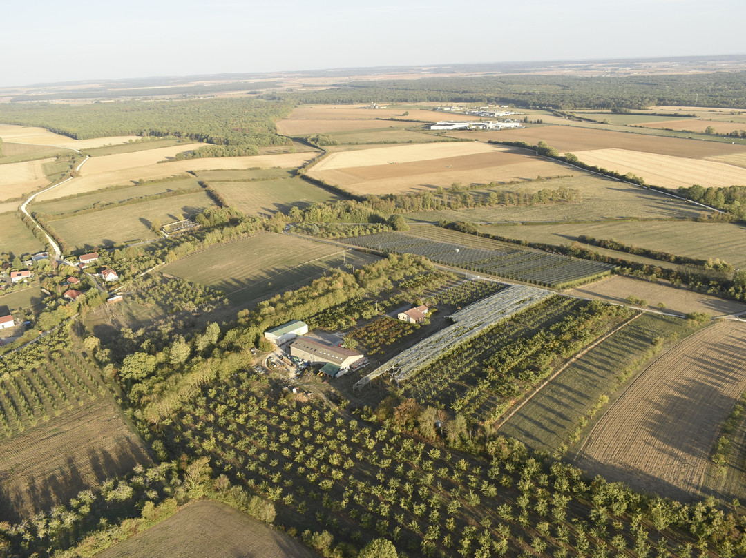 Fly Montgolfière-Vigneulles-les-Hattonchatel必去景点