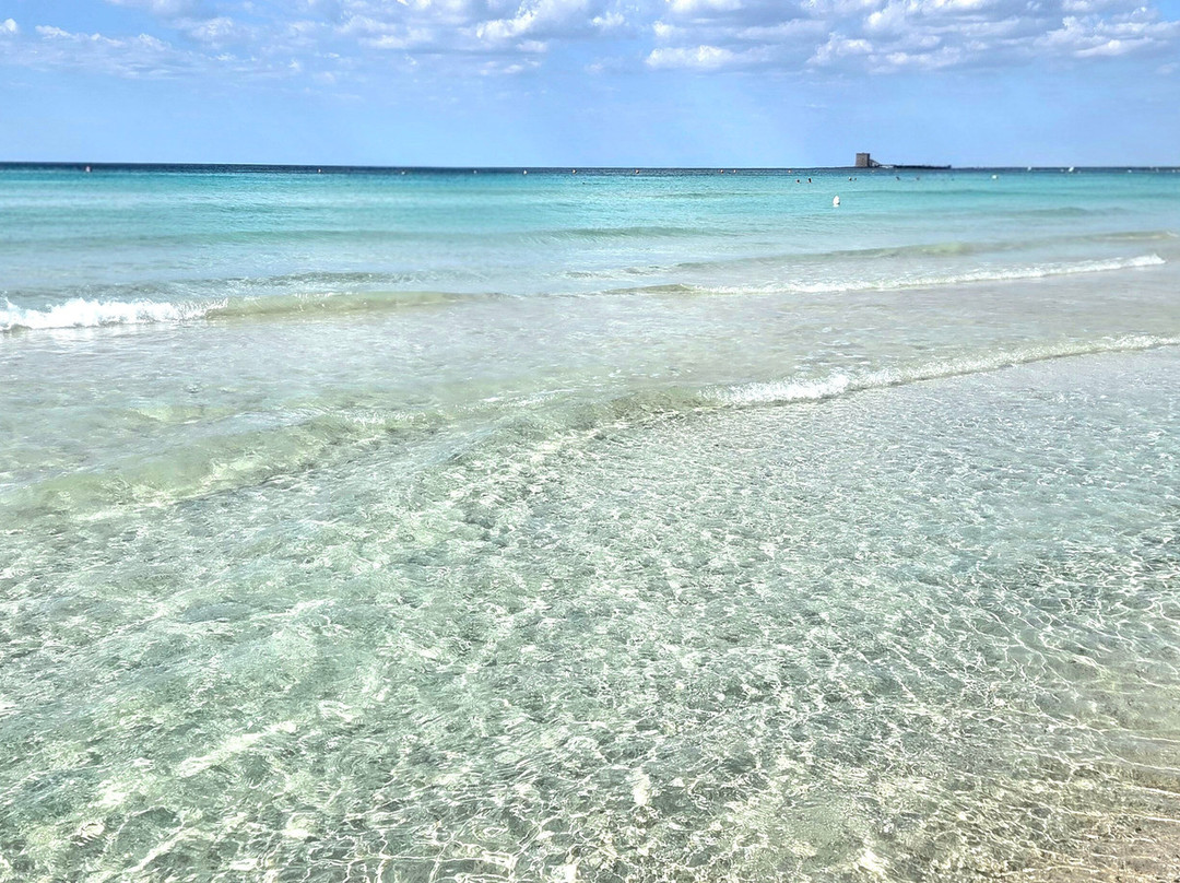 Lido Bacino Grande主图