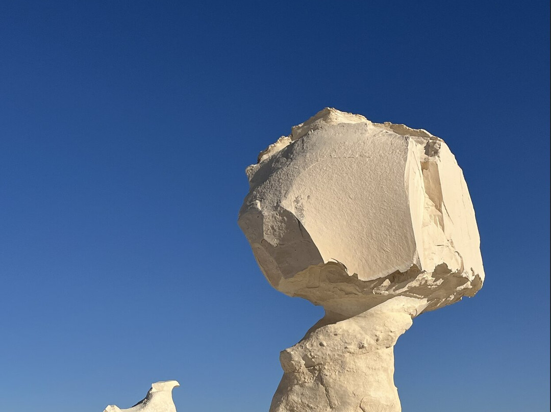 Marsa Alam Tours-马萨阿拉姆必去景点