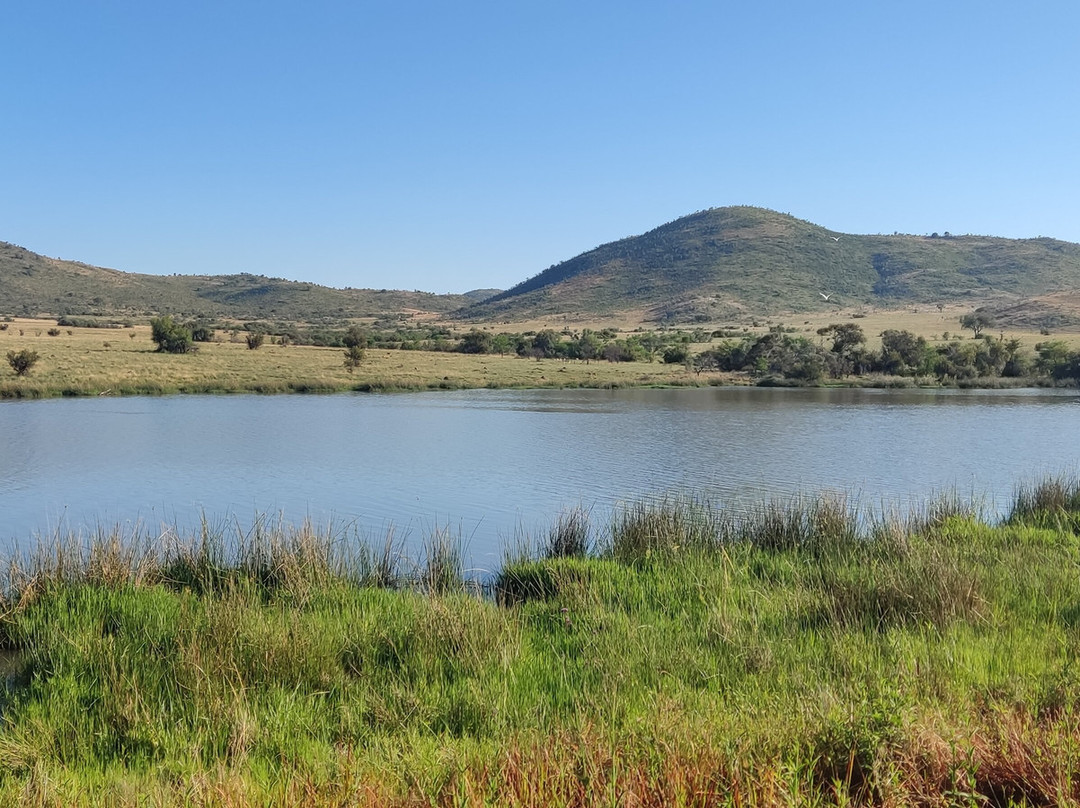 Pilanesberg National Park-太阳城必去景点