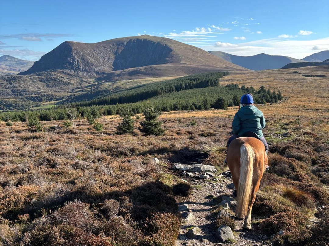 Snowdonia Riding Stables-卡那封必去景点