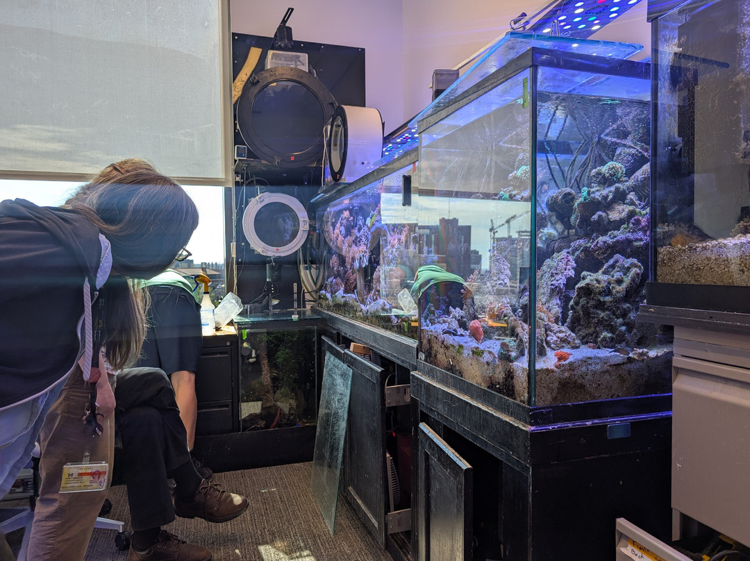 Deep Blue Aquarium Tour-安娜堡必去景点