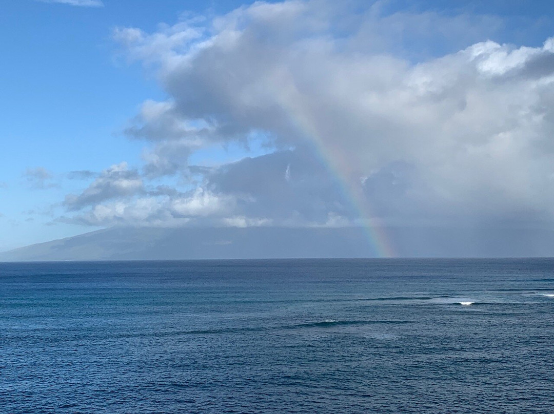霍洛拉尼海滨公寓主图