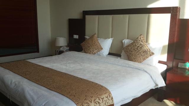 阳城国际大酒店-客卧