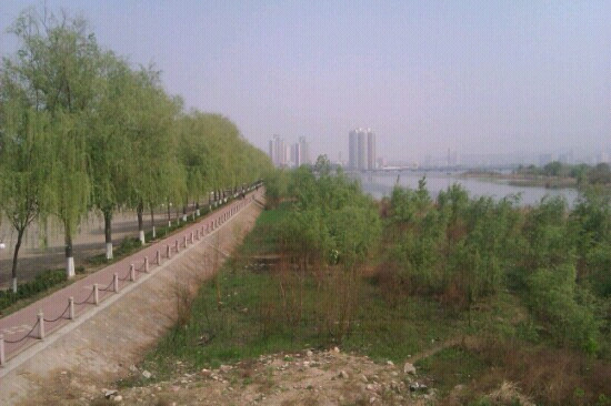 渭河公园景点图片