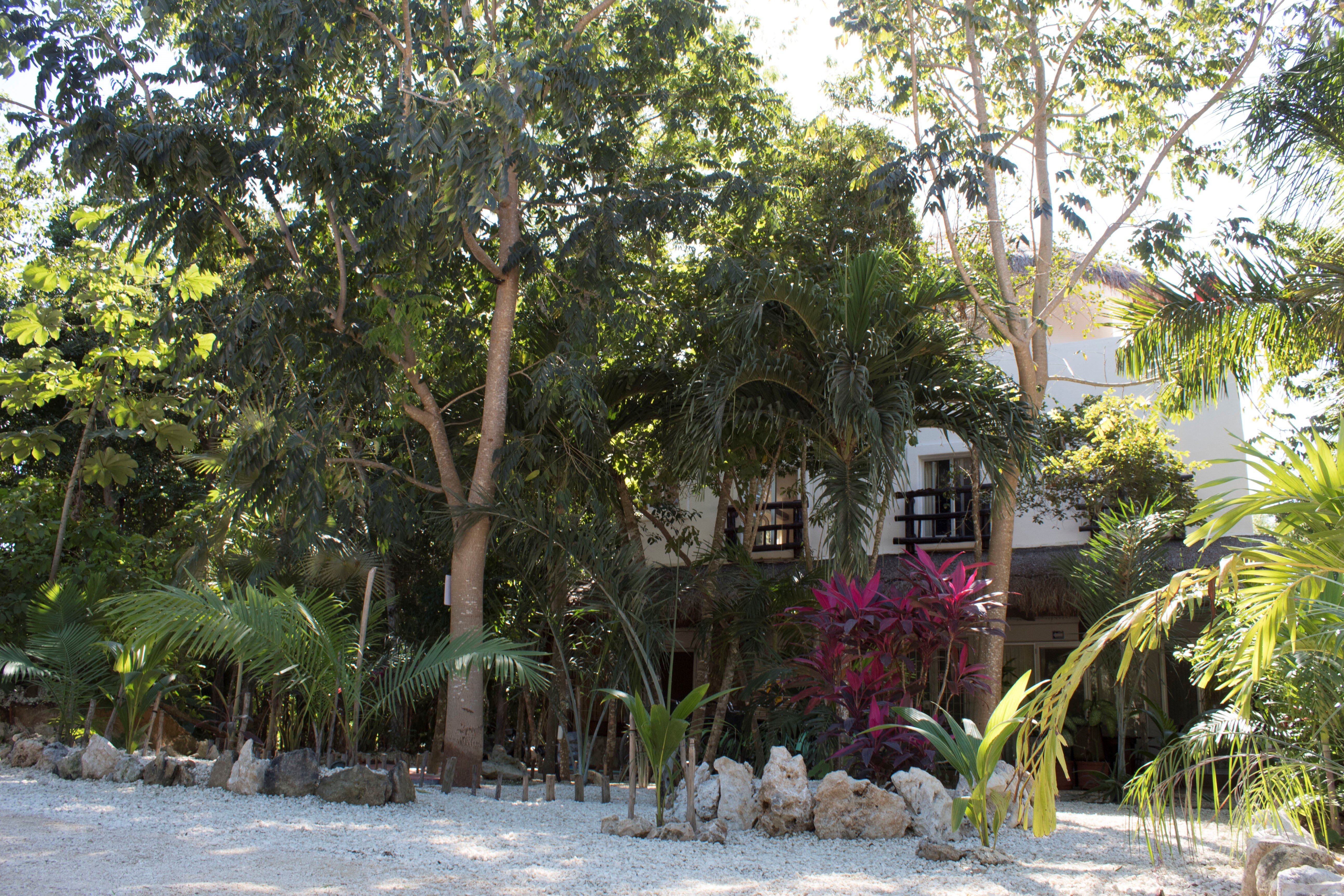 Lunah Xcacel Suites-官方