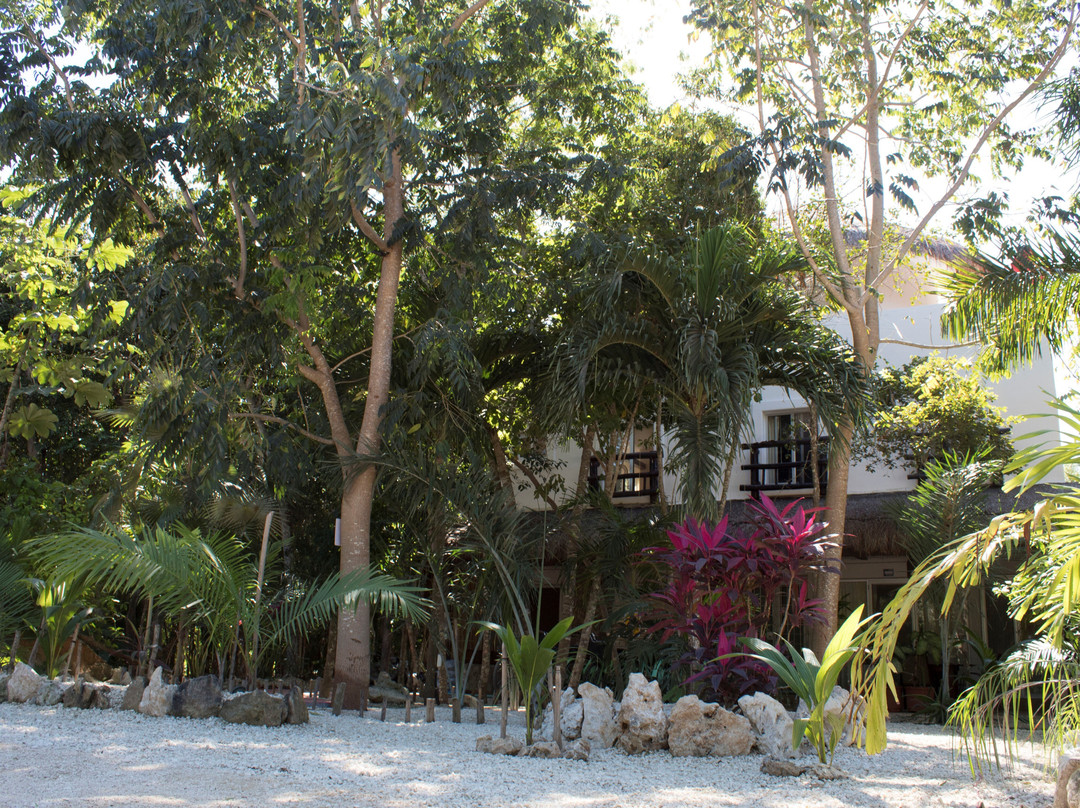 Dos Palmas酒店住宿-Lunah Xcacel Suites