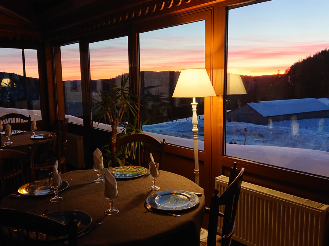 Xonrupt-Longemer酒店住宿-Hotel Restaurant Balveurche