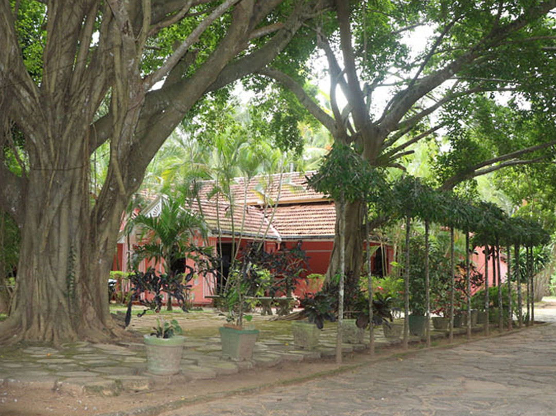 Villa Sunshine Hotel