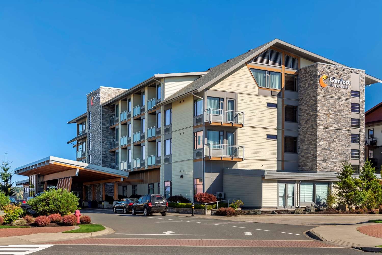Comfort Inn & Suites-官方