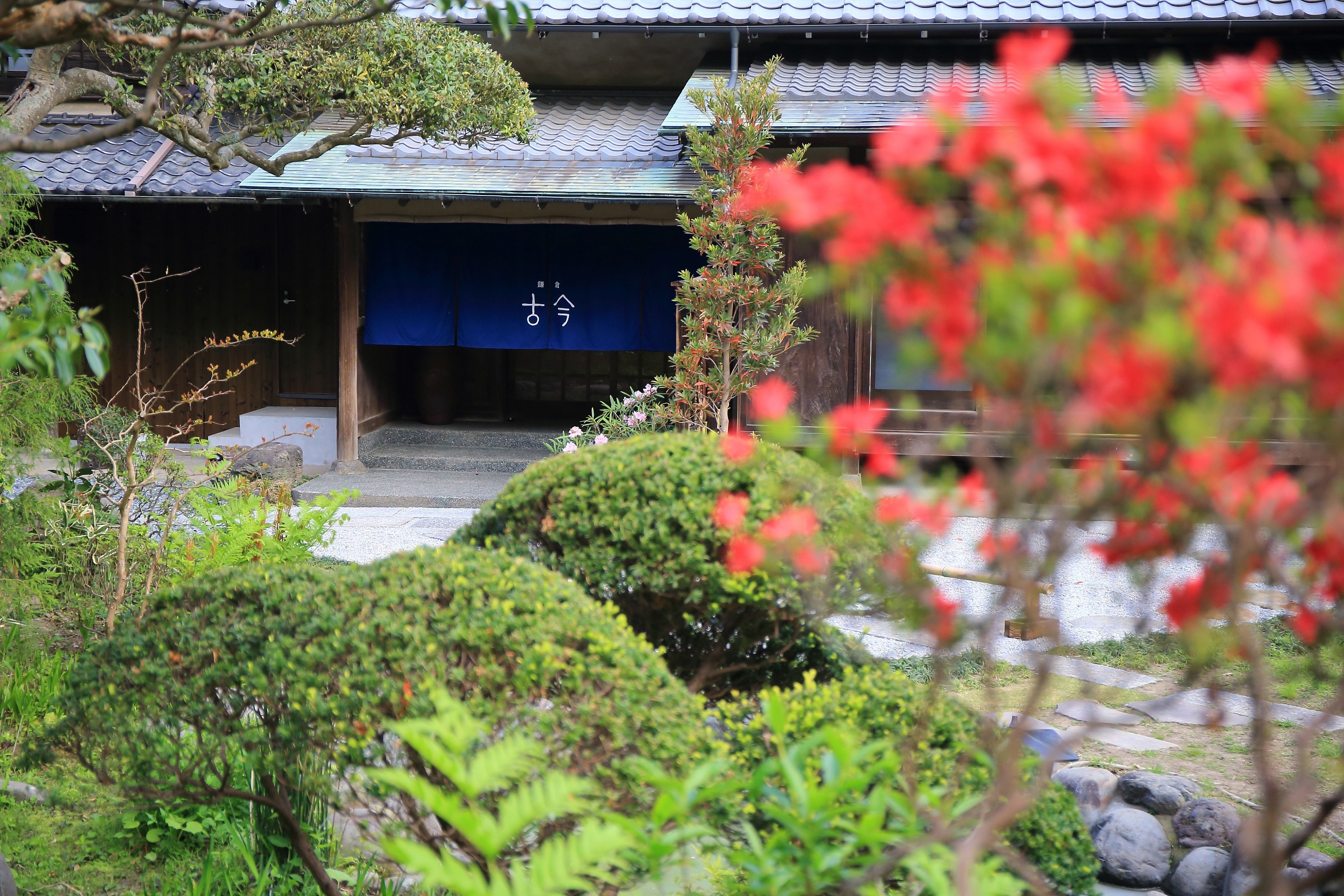 Kamakura COCON-官方