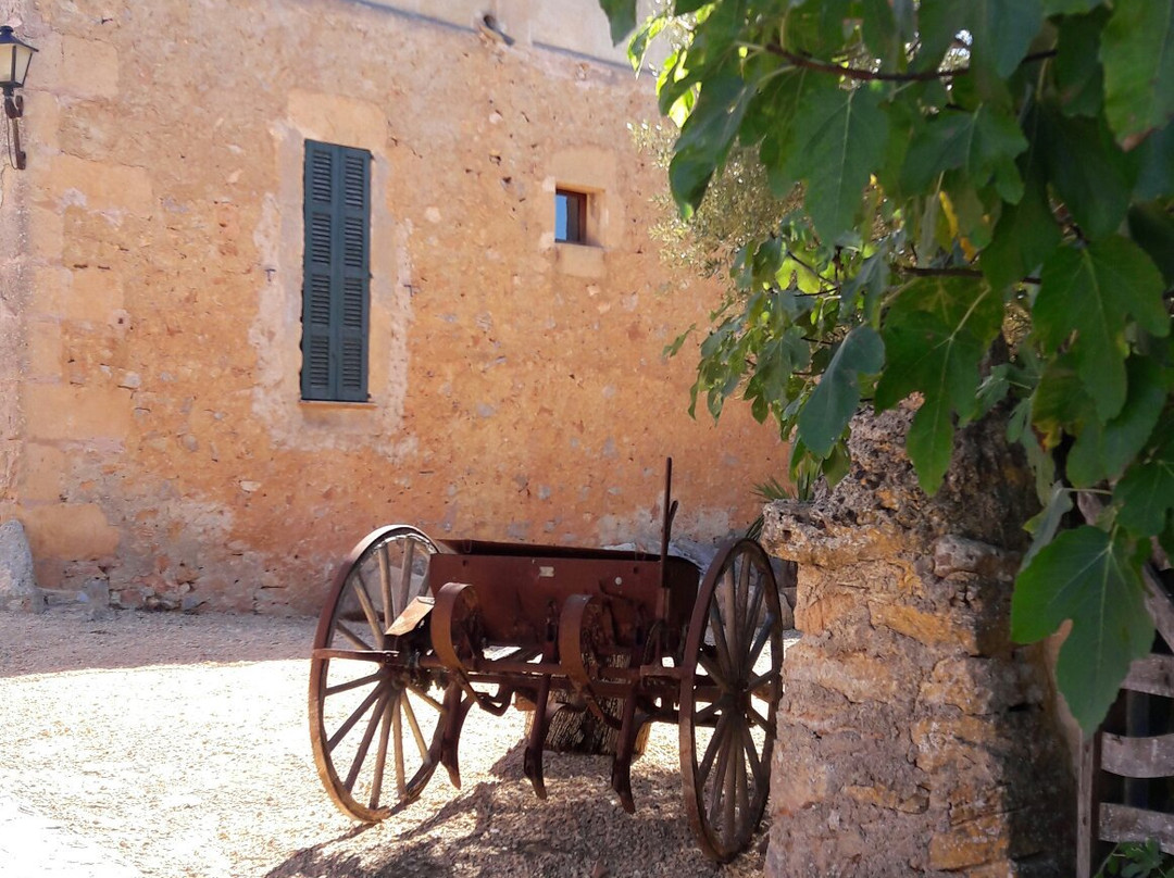 马纳科尔酒店住宿-Agroturisme Son Sureda