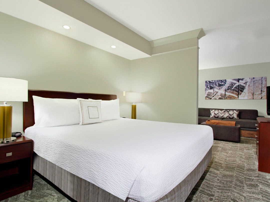 SpringHill Suites by Marriott Chesapeake Greenbrier主图