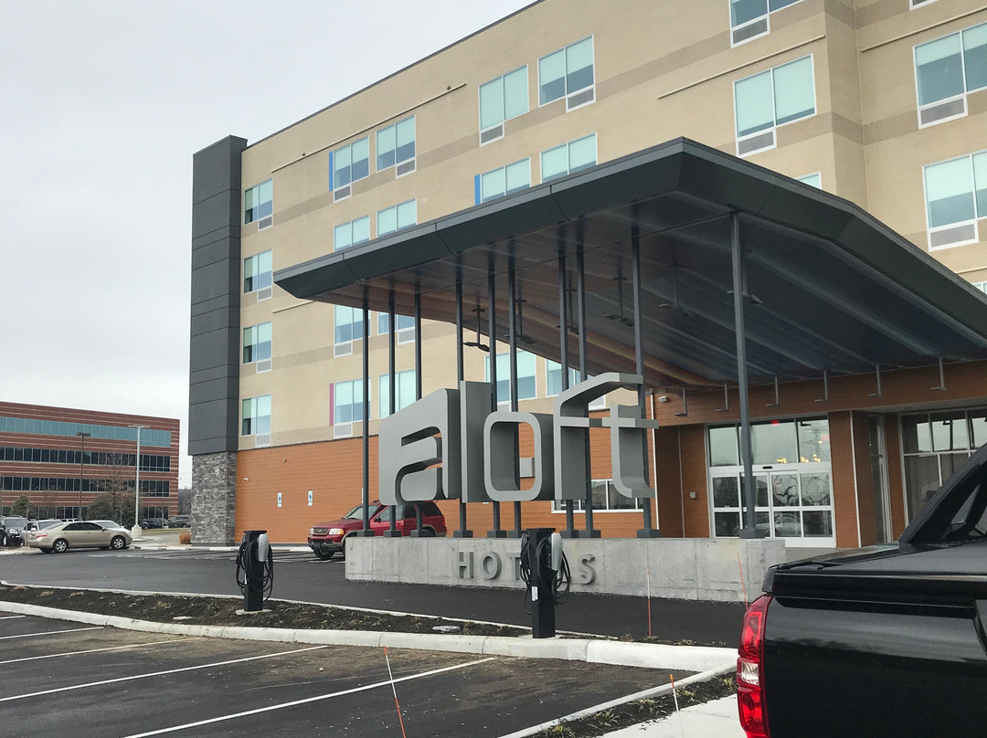 Albion旅游攻略图片