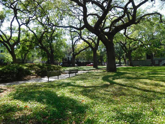 Pulaski Square-萨凡纳必去景点