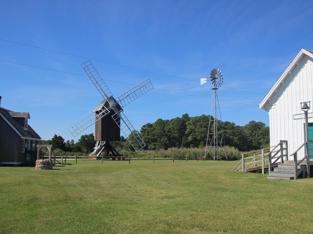 Spocott Windmill景点图片