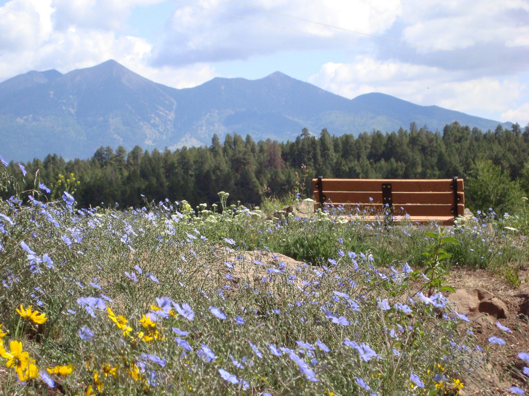 The Arboretum at Flagstaff景点图片