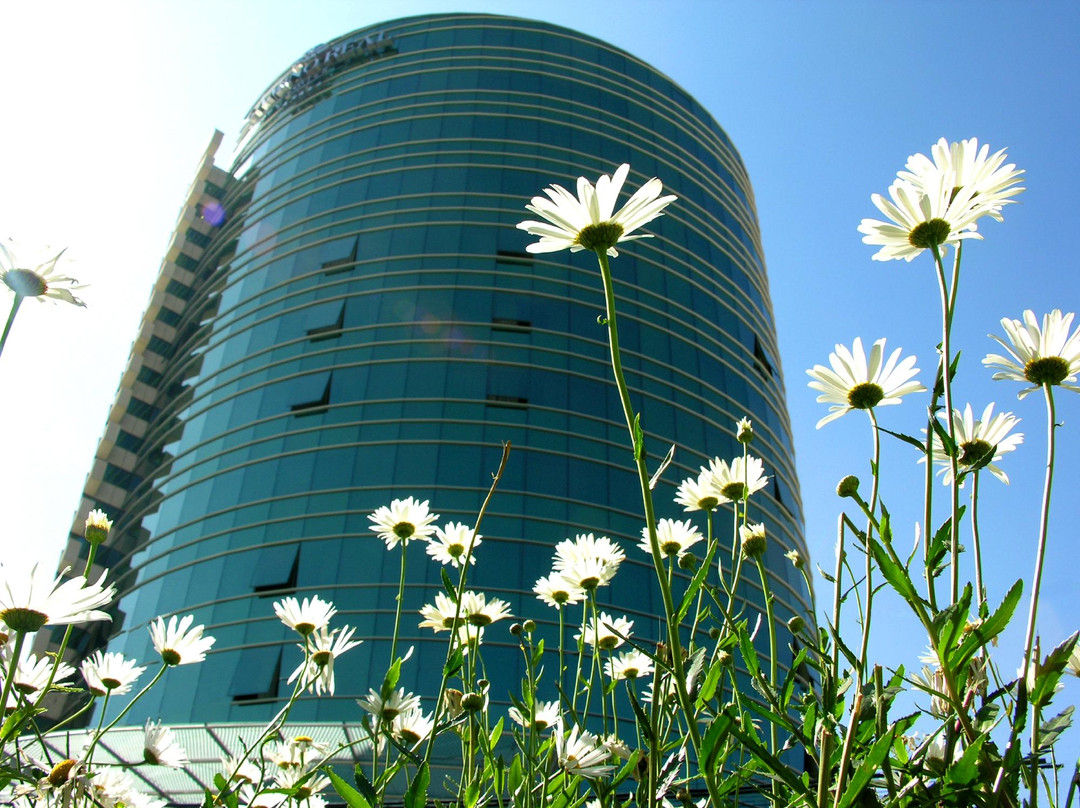 卡米诺瑞尔套房酒店